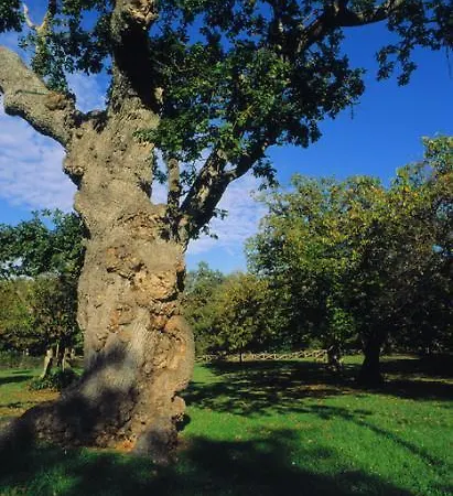 Quinta Duro خيخون